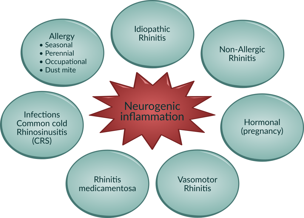 Nasal congestion has many names and causes